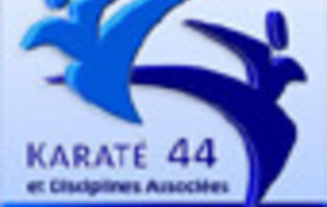 Championnat Départemental Enfants Kumité